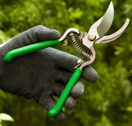 Tesoura De Poda 20,5Cm Ts-3124 Em Aço Trapp 3936107