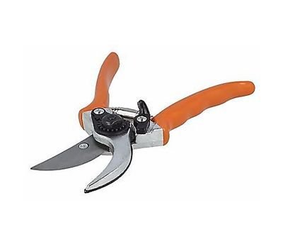 Tesoura De Poda Básica Stihl