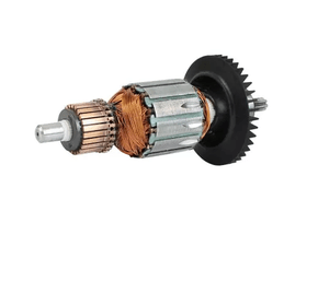 Induzido 220V - 11B6 1604010B9X BOSCH