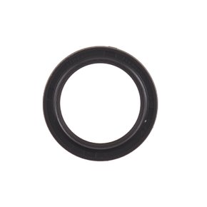 Limpador Do Pistão  Original Karcher 93760200