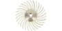 Disco De Nylon 3/8" Grão 120 Para Micro Retífica Ez Lock 2615E472Aa Dremel