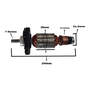 Induzido 127V Gbh 2-24 D Bosch F000605185