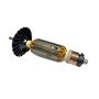 Induzido 13961 220V Bosch 1619P10952
