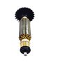 Induzido 13961 220V Bosch 1619P10952
