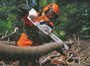 Motosserra A Gasolina Ms 260 40Cm/16 26Rs Stihl