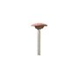 Pedra Para Esmerilhar Dremel 971 Formato Disco Oval 15,9Mm (5/8) Para Metal, Soldas, Rebites E Oxidação 2615000971
