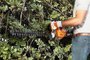 Podador Hs 45 De Cerca Viva Á Gasolina 450Mm Stihl