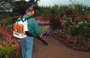 Soprador De Folhas Costal Br 420 Stihl Original